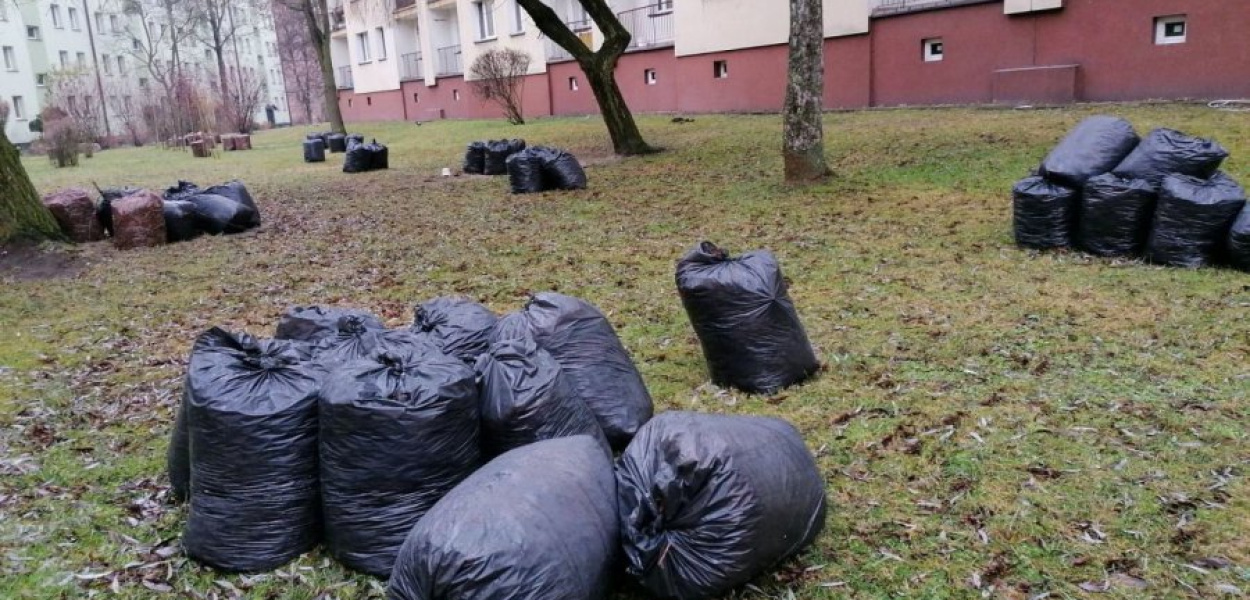 Worki z liśćmi leżą m.in. pod blokami przy ul. Broniewskiego i Zielonej