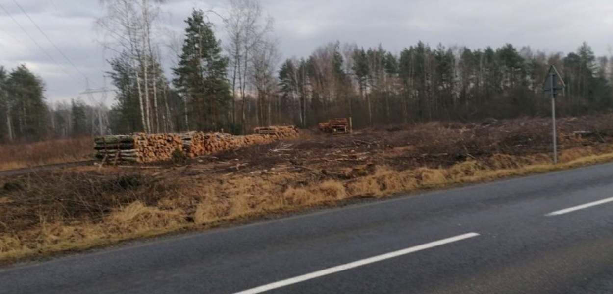 Dzięki nowej drodze rowerowej na ulicy Słowackiego w Trzebini będzie się można bezpiecznie dostać do Puszczy Dulowskiej 