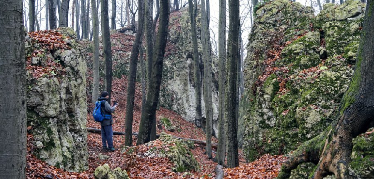 Zubowe Skały w rezerwacie Pazurek w gminie Olkusz