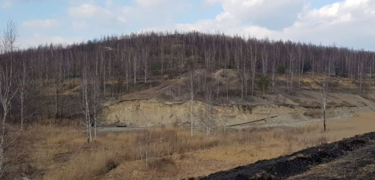 Osadnik położony jest 350 m n.p.m