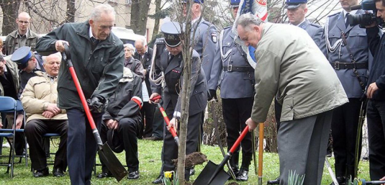 W 2010 roku w parku w Chrzanowie zostały zasadzone cztery dęby katyńskie oraz odsłonięta tablica