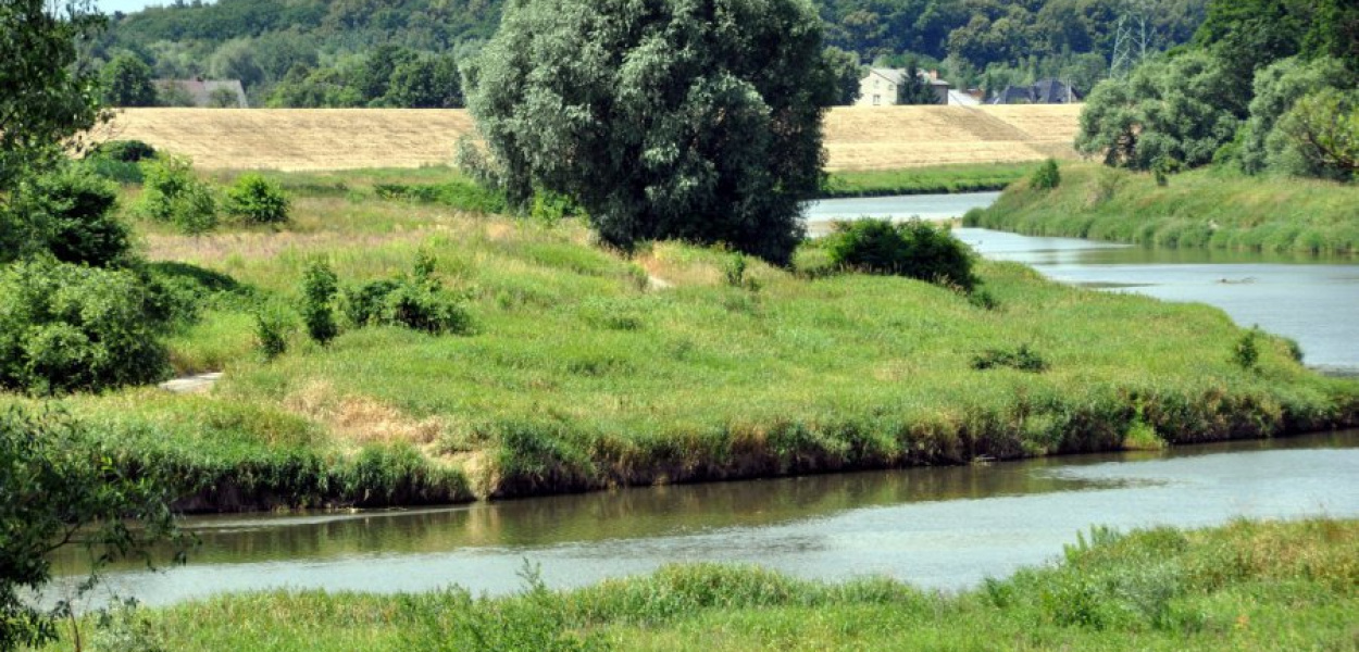 Widok na Wisłę z Wiślanej Trasy Rowerowej w Mętkowie