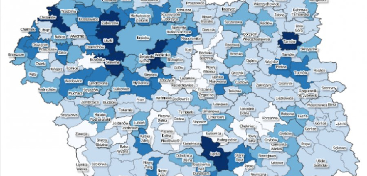 Zrzut ekranu z Podsumowania działań antysmogowych w Małopolsce w 2020 roku
