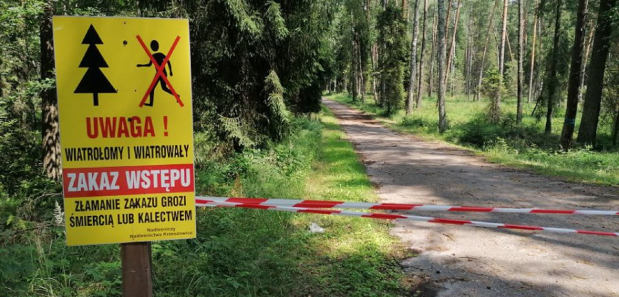 Zakaz wstępu obejmuje jedną z dróg w Puszczy Dulowskiej