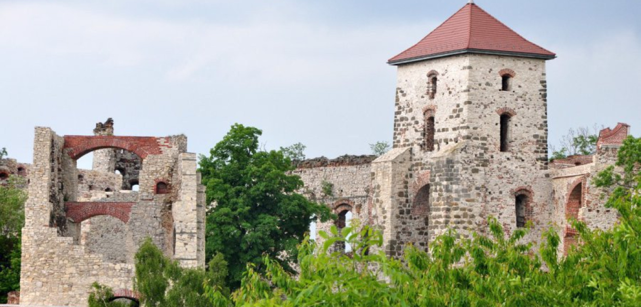 Pierwsza linia uruchomiona będzie z Krakowa do zamku Tenczyn