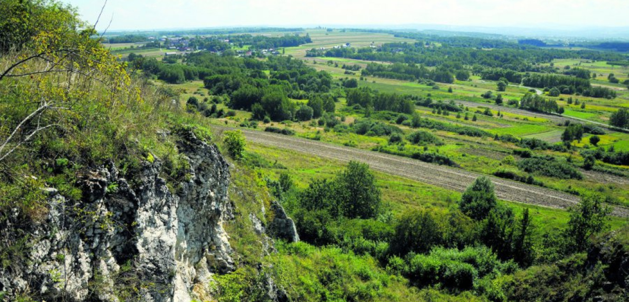 Zielone przestrzenie u podnóży Kajasówki