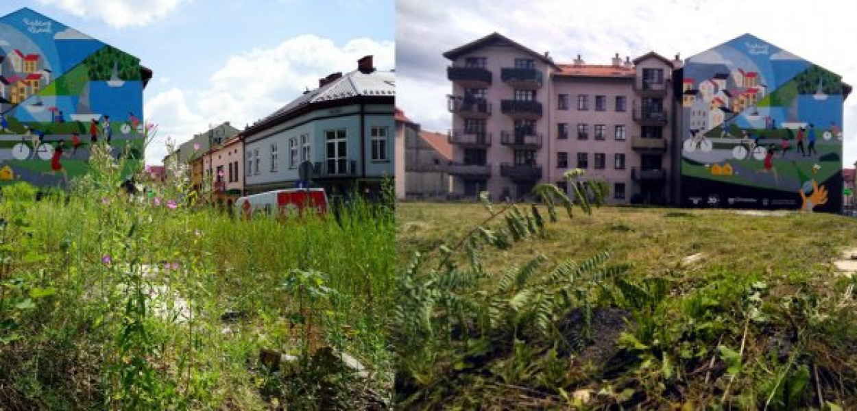 Widok na ekomural przy Mickiewicza w Chrzanowie - przed i po wykoszeniu sąsiadującej działki