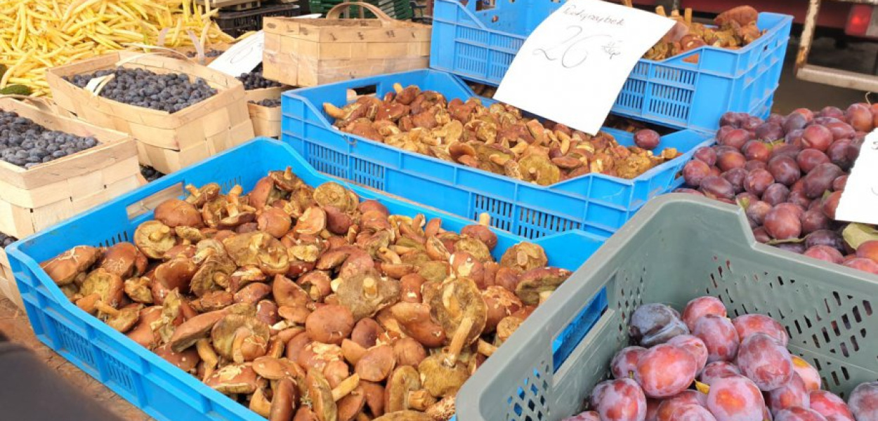 Podgrzybki kosztują na targu 26 zł za 1 kg