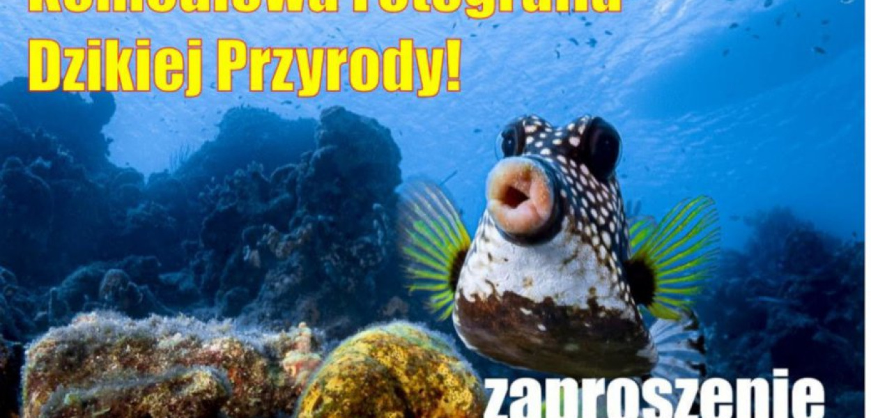 Warto zobaczyć tę wystawę