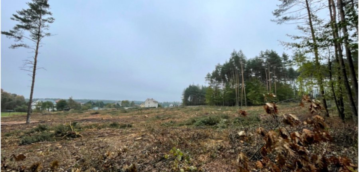 Pusta przestrzeń po wyciętym na Podstokach fragmencie lasu. FOT. Nadesłane przez Czytelnika 