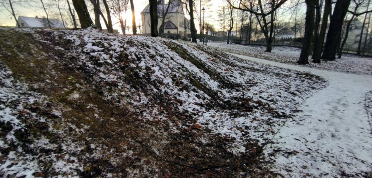 W miejscu, gdzie dobrze zjeżdża się na sankach w kościeleckim parku, zostały posadzone róże
