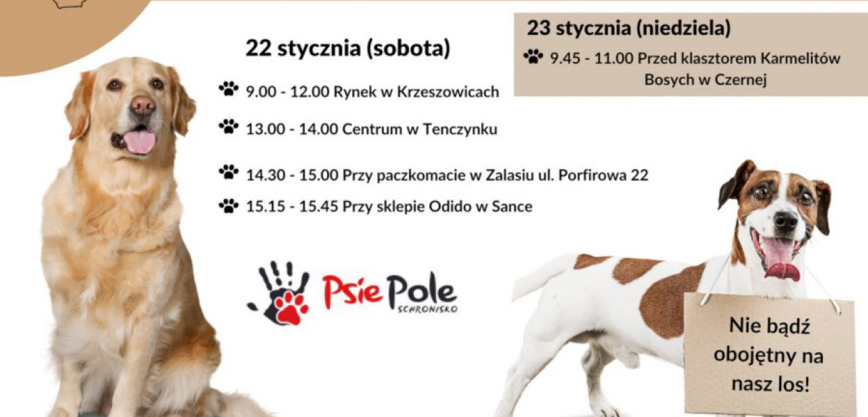 Przez dwa dni prowadzona będzie zbiórka na rzecz zwierząt w schronisku