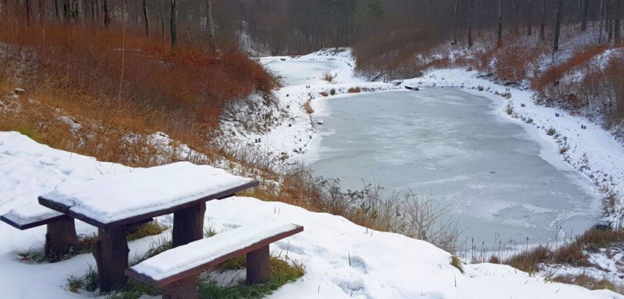 Stawy obecnie są zamarznięte