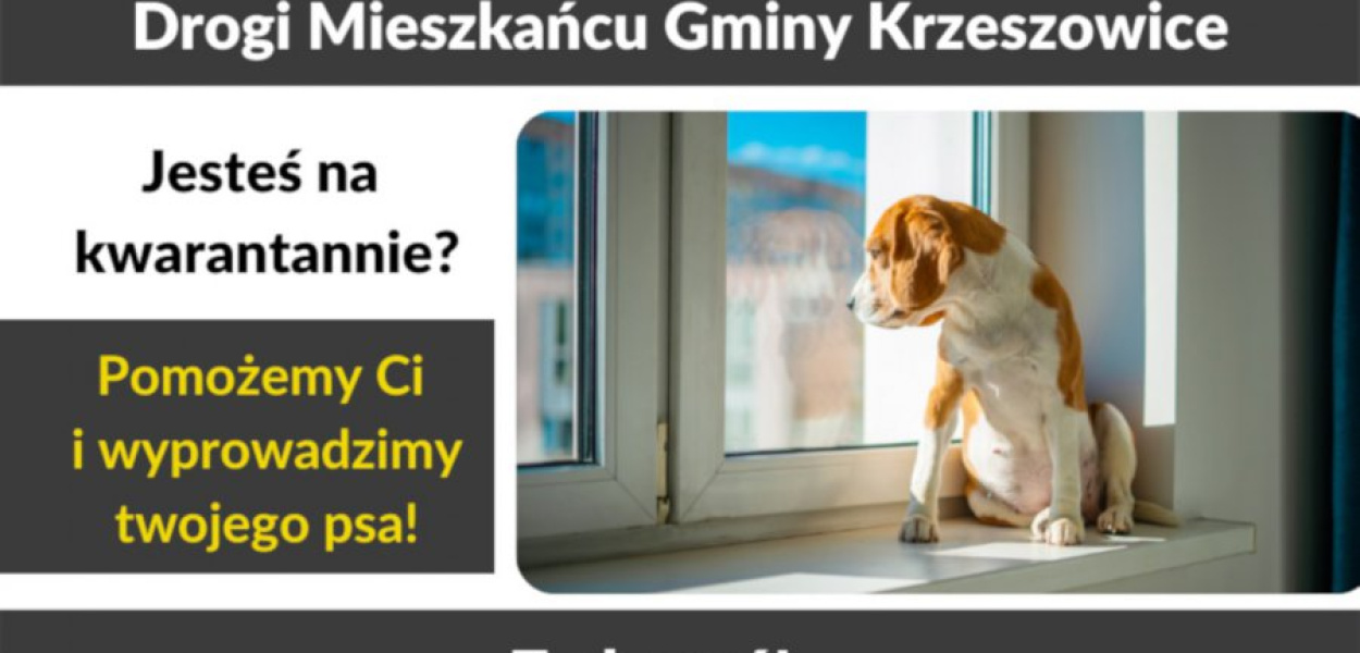 Ciekawą inicjatywę wymyślili członkowie Stowarzyszenia Rzetelna Gmina Krzeszowice