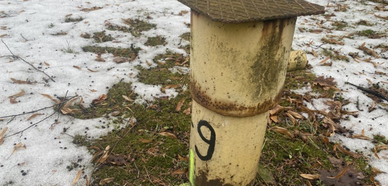 Jeden z piezometrów umieszczonych na terenie os. Siersza - w parku przy Willi NOT