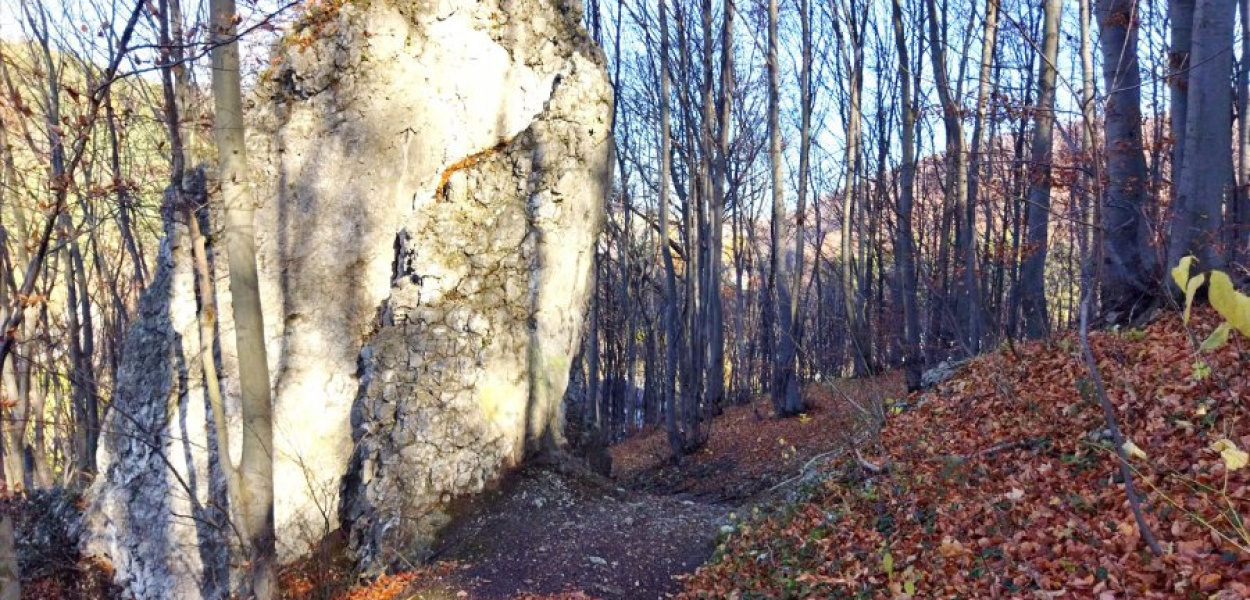 Rezerwat przyrody Dolina Szklarki