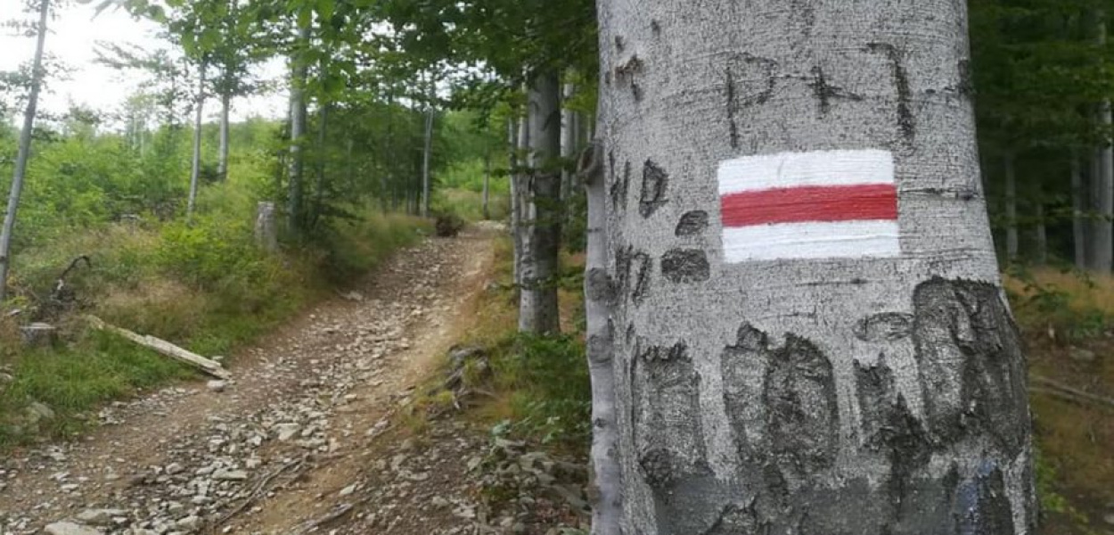 Znakarze dbają o to, by turyści nie pobłądzili
