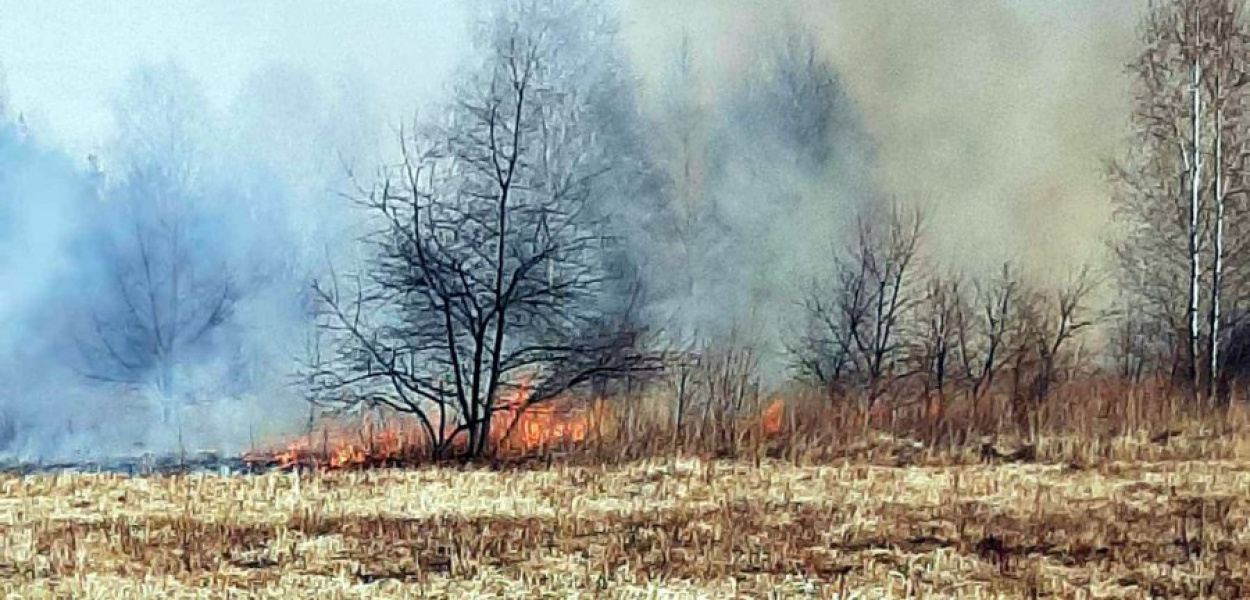 Środowy pożar traw w Rozkochowie Fot. AM