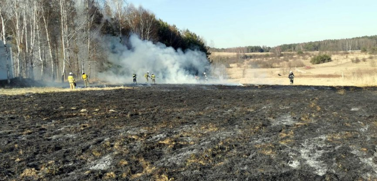 Pożar traw w rejonie ul. Głowackiego w Grojcu. FOT. OSP GROJEC