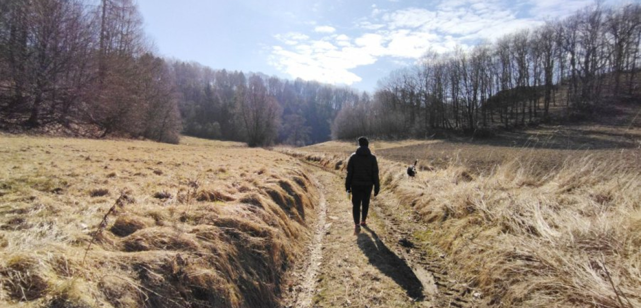 Początkowy fragment Doliny Zachwytu na terenie wsi Wielmoża