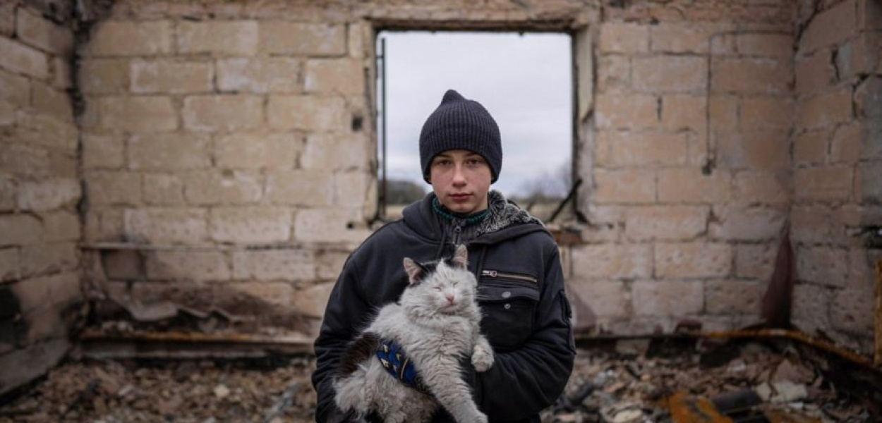 Українці не лишають своїх домашніх улюбленців/ фото:  Yuki Iwamura