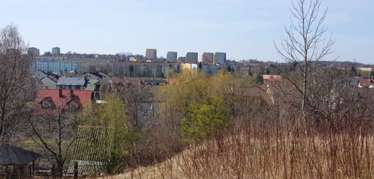 Widok z Góry Berłowej na osiedle Północ