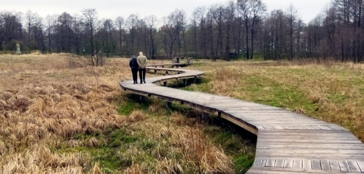 Ścieżka przyrodnicza w Sławkowie