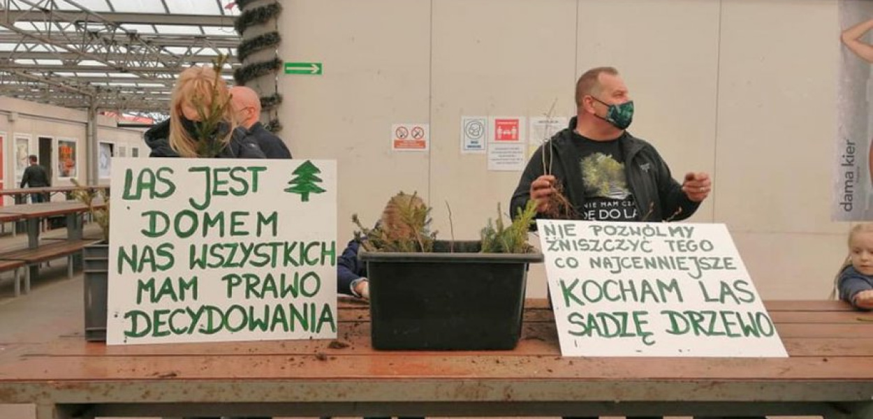 I tym razem warto się pospieszyć. W ubiegłym roku sto sadzonek rozeszło się w kilkanaście minut, fot. Facebook