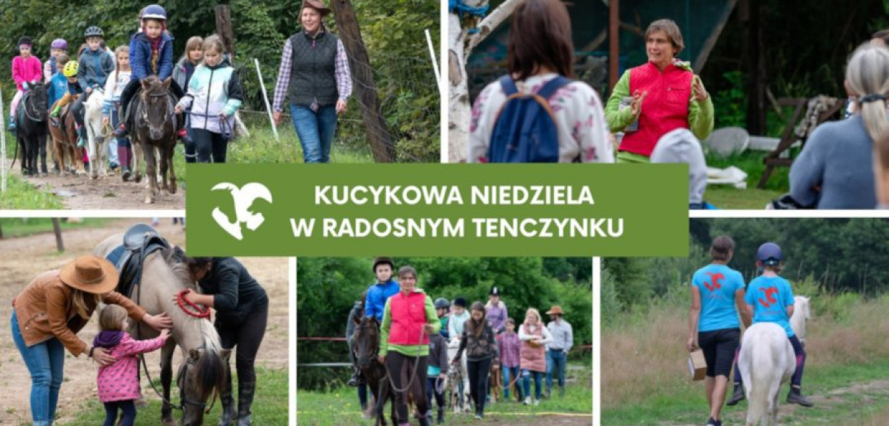 Fundacja Radosny Tenczynek zaprasza na niedzielę z kucykami