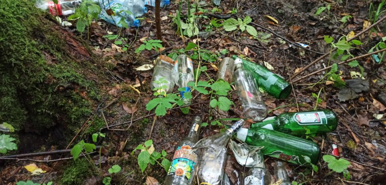 Plastikowe i szklane butelki zajmują coraz większy obszar w lesie. Fot. NF