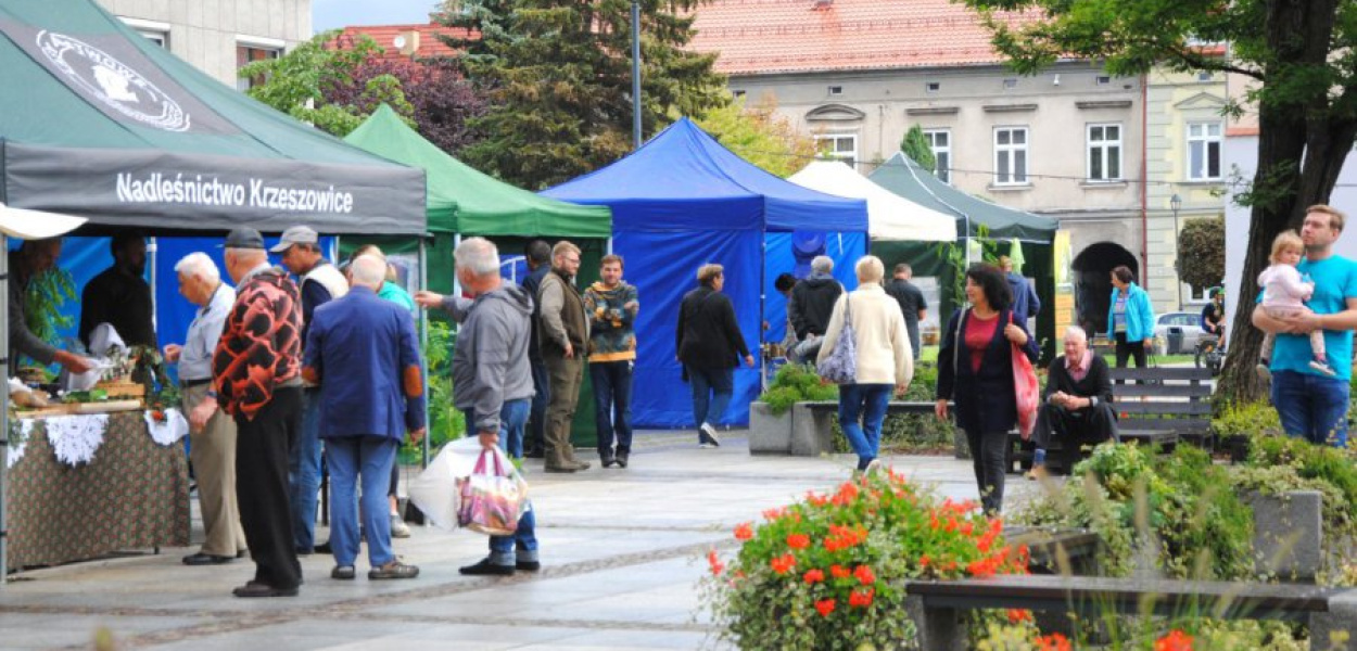 Podczas Święta Miodu na rynku w Krzeszowicach. FOT. Kacper Ropka