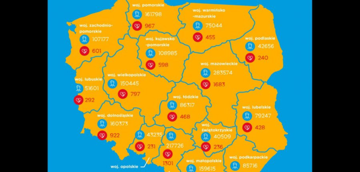 Na tej mapce możecie sprawdzić ilu dawców szpiku znajduje się w poszczególnych województwach w Polsce.
