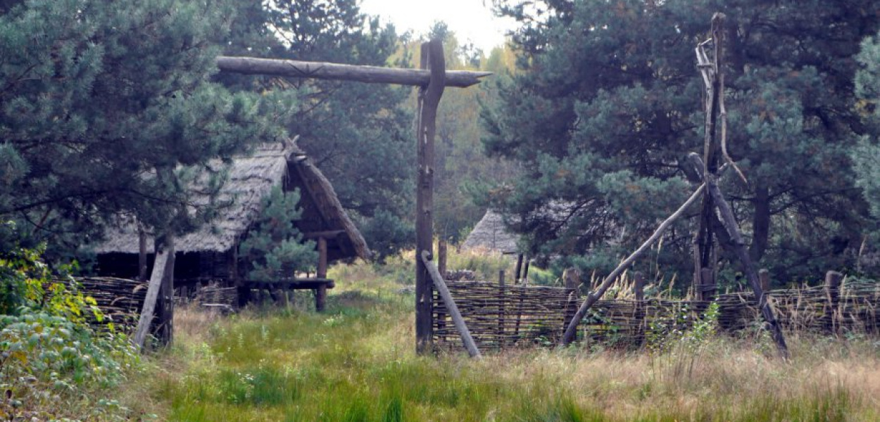 Wioska wybudowana w Puszczy Dulowskiej na potrzeby serialu &quot;Barbarzyńcy&quot;