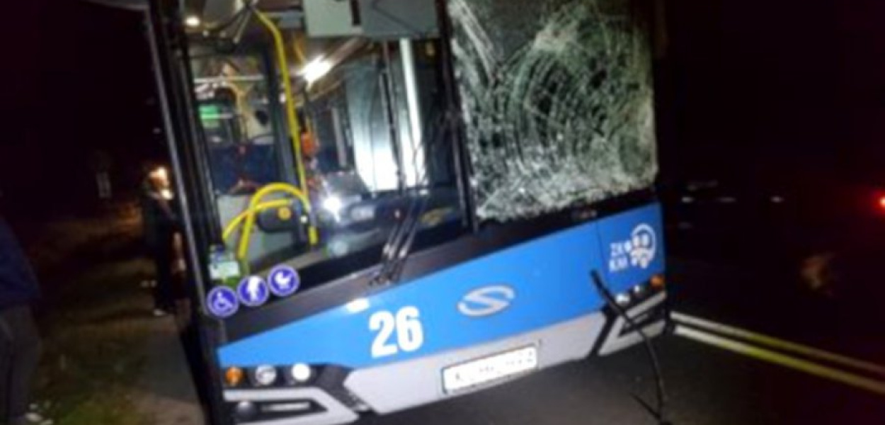 Autobus po zderzeniu z łosiem. FOT. Artur Bigaj