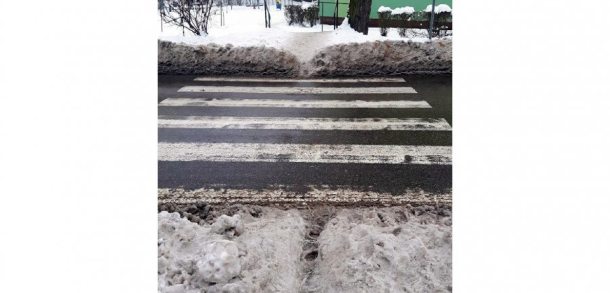 Fot. Nadesłane przez Czytelnika