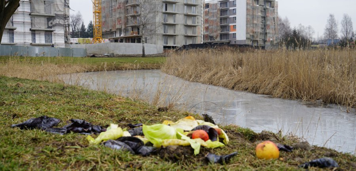 Resztki jedzenia nad stawami na osiedlu Kąty w Chrzanowie