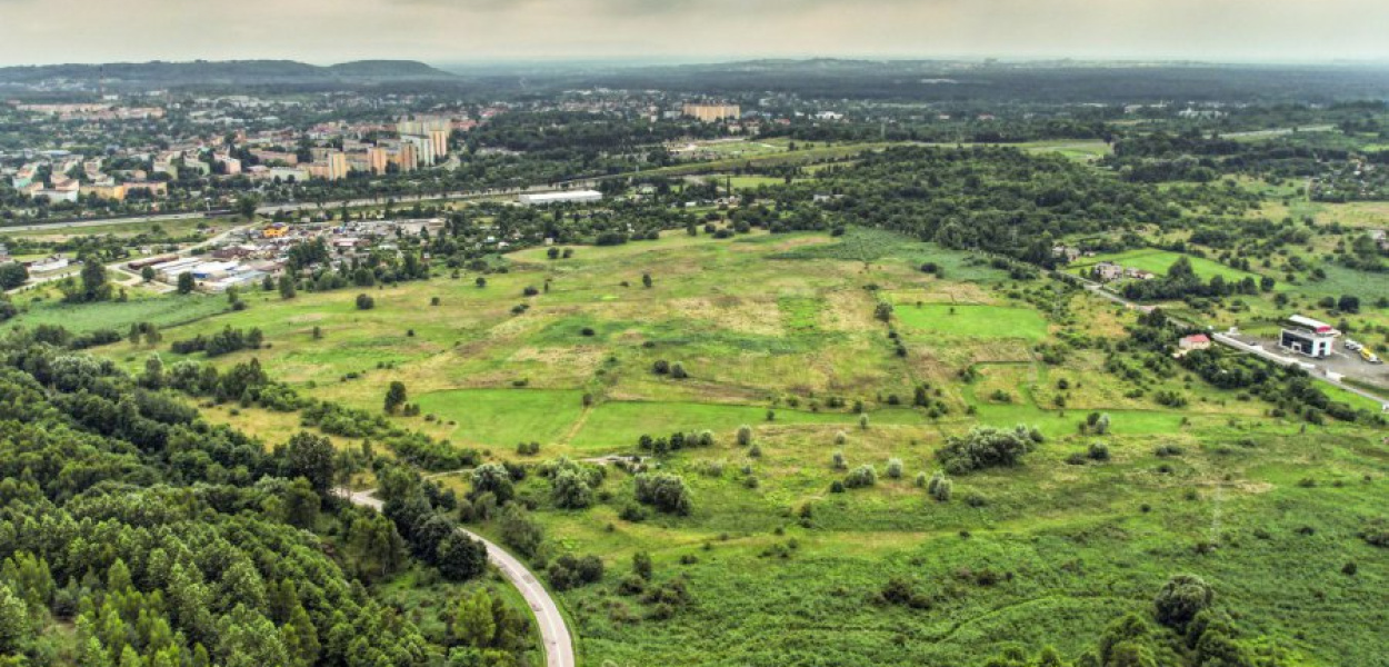 Fot. Łukasz Michalik