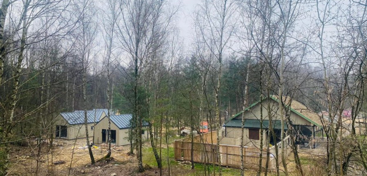 Powstające domki są wkomponowane w otaczającą zieleń