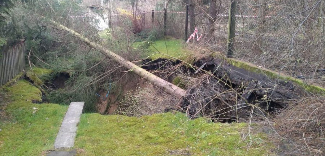 Nowe zapadlisko na terenie ogrodu działkowego w trzebińskim Gaju. FOT. SRK