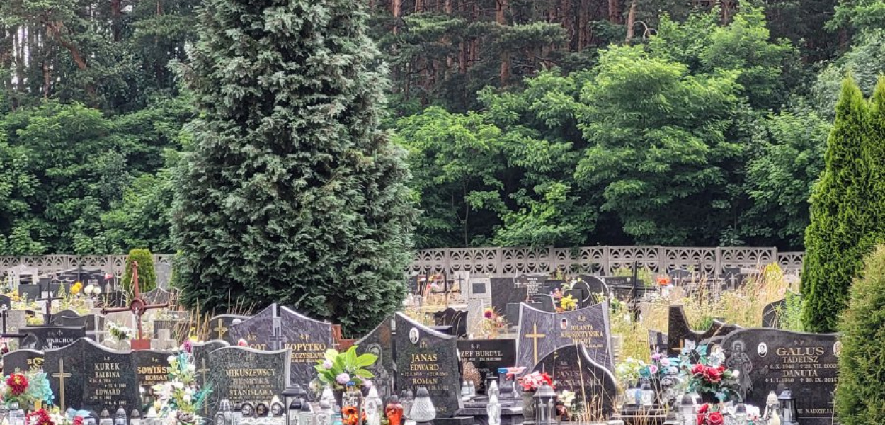 Część północna cmentarza dostępna, południowa nie