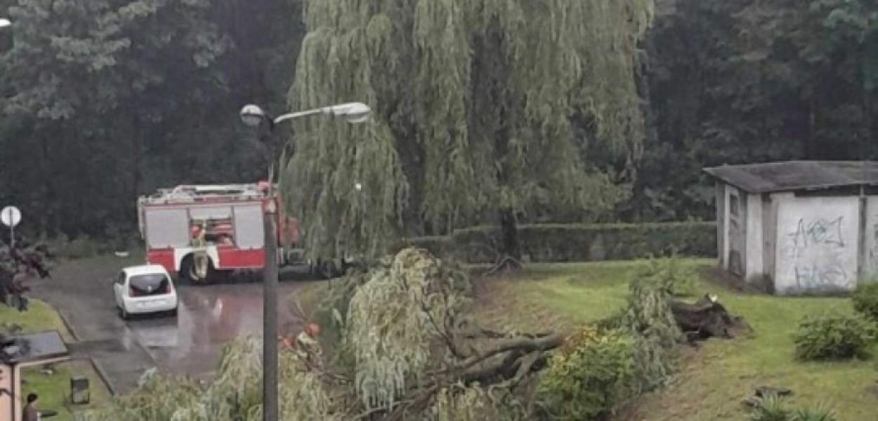 Trzebinia os. Energetyków, okolice bloku 33
