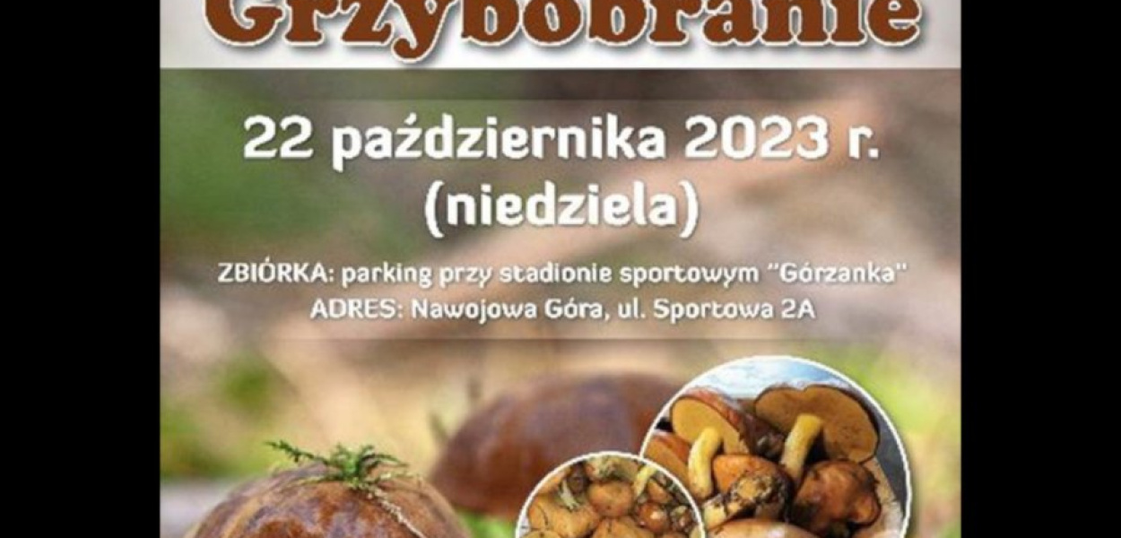 W niedzielę można się wybrać na grzybobranie