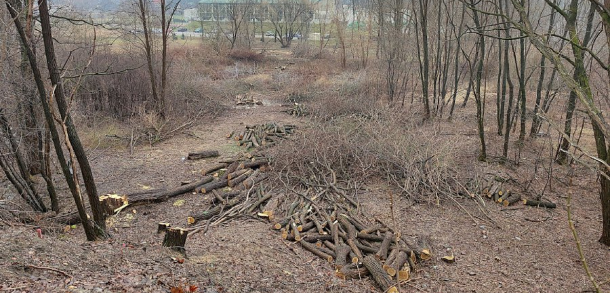 Tędy, od rzeki Chechło do muru cmentarza żydowskiego, poprowadzi fragment trasy pieszo-rowerowej