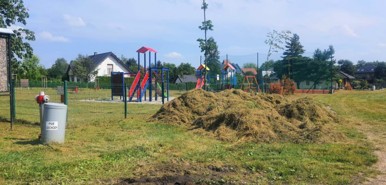 Siankokosy na Starej Hucie w Chrzanowie