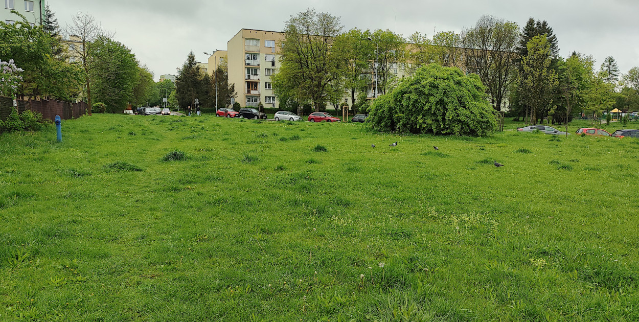 PsiPark zaprojektowano na zielonej łące na osiedlu Północ w Chrzanowie