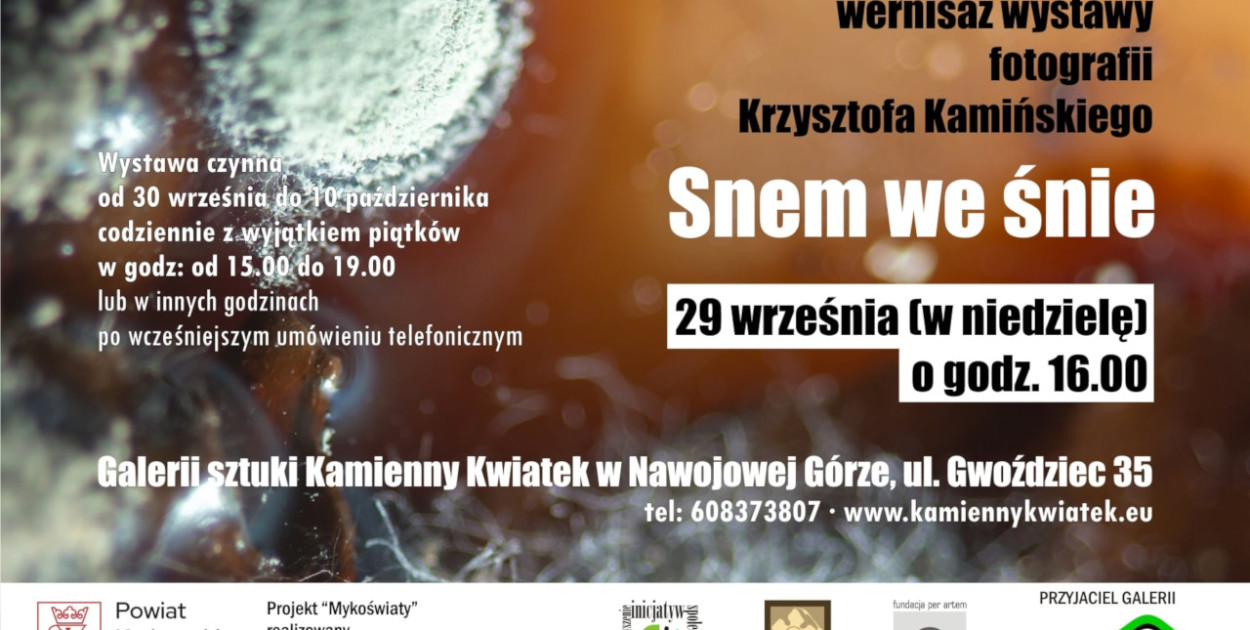 Galeria Kamienny Kwiatek zaprasza na wystawę fotografii