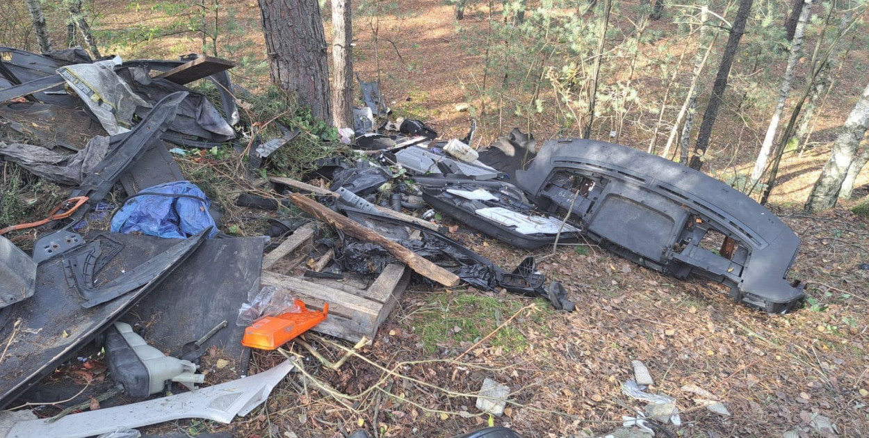 Taki widok w lasach nie jest rzadki, fot. Nadleśnictwo Chrzanów