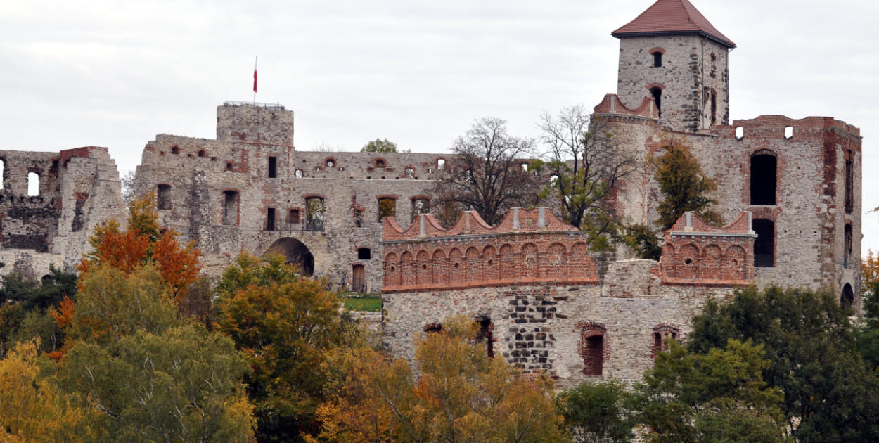 Zamek Tenczyn w Rudnie