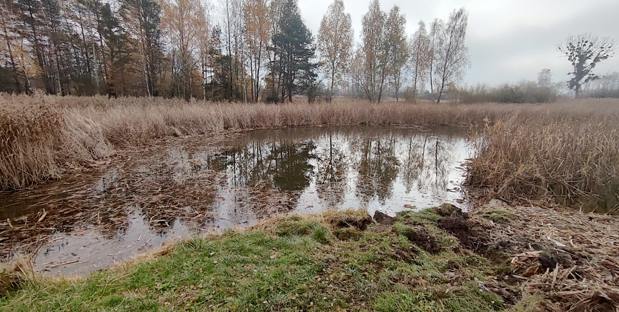 Dolina Trzech Stawów w Chrzanowie