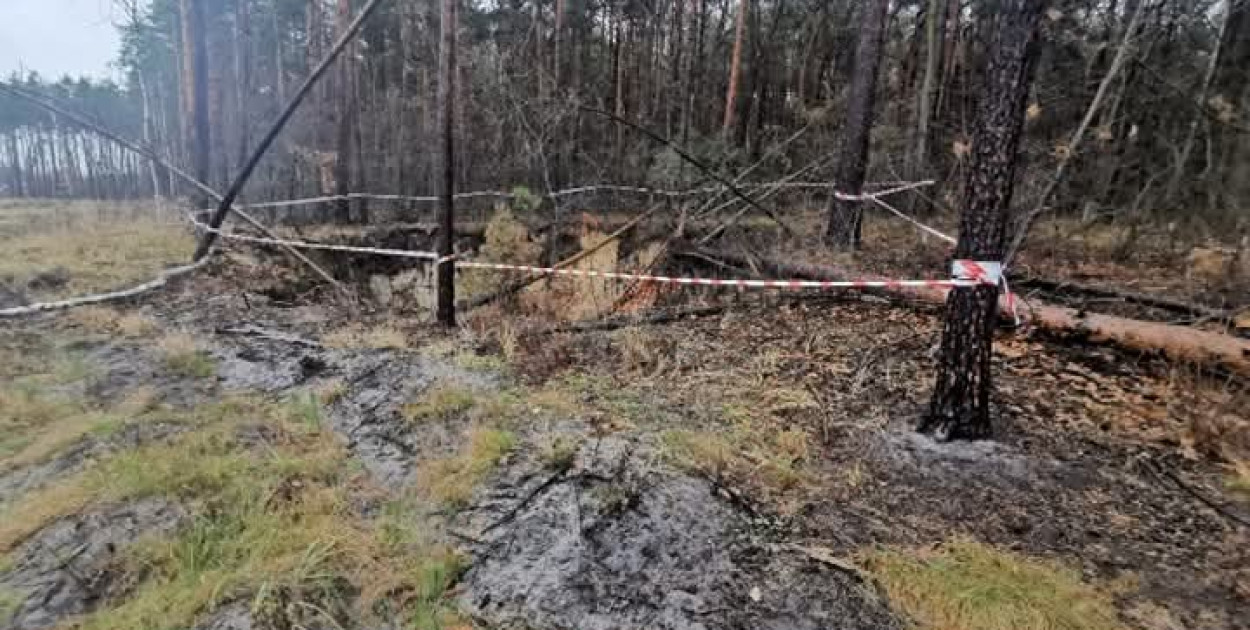 Jaworzno. Zapadlisko w lesie nieopodal ulic Moniuszki i Martyniaków Fot. PKW